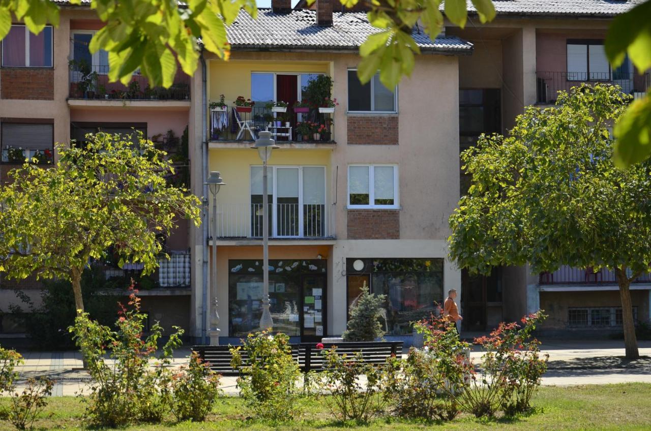 Apartman Terassa Donji Milanovac Exterior foto