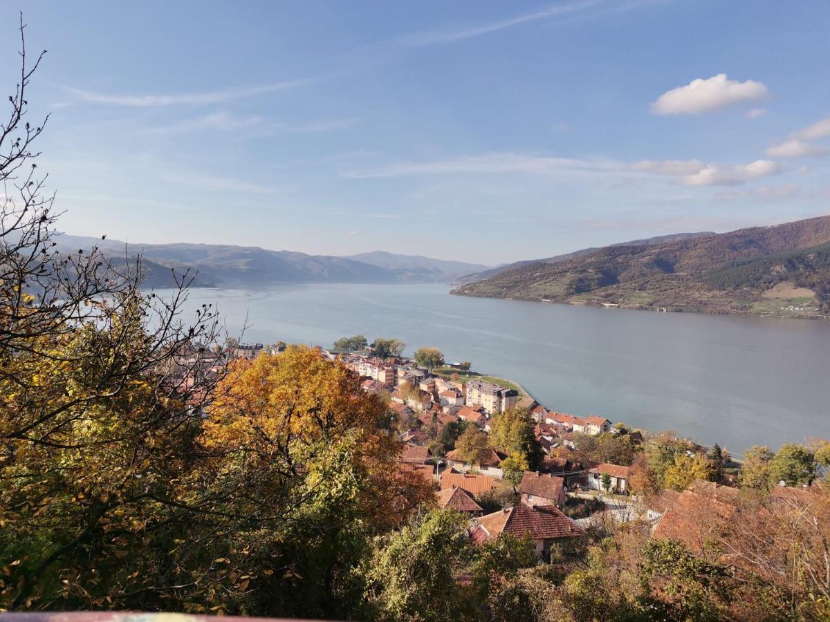 Apartman Terassa Donji Milanovac Exterior foto